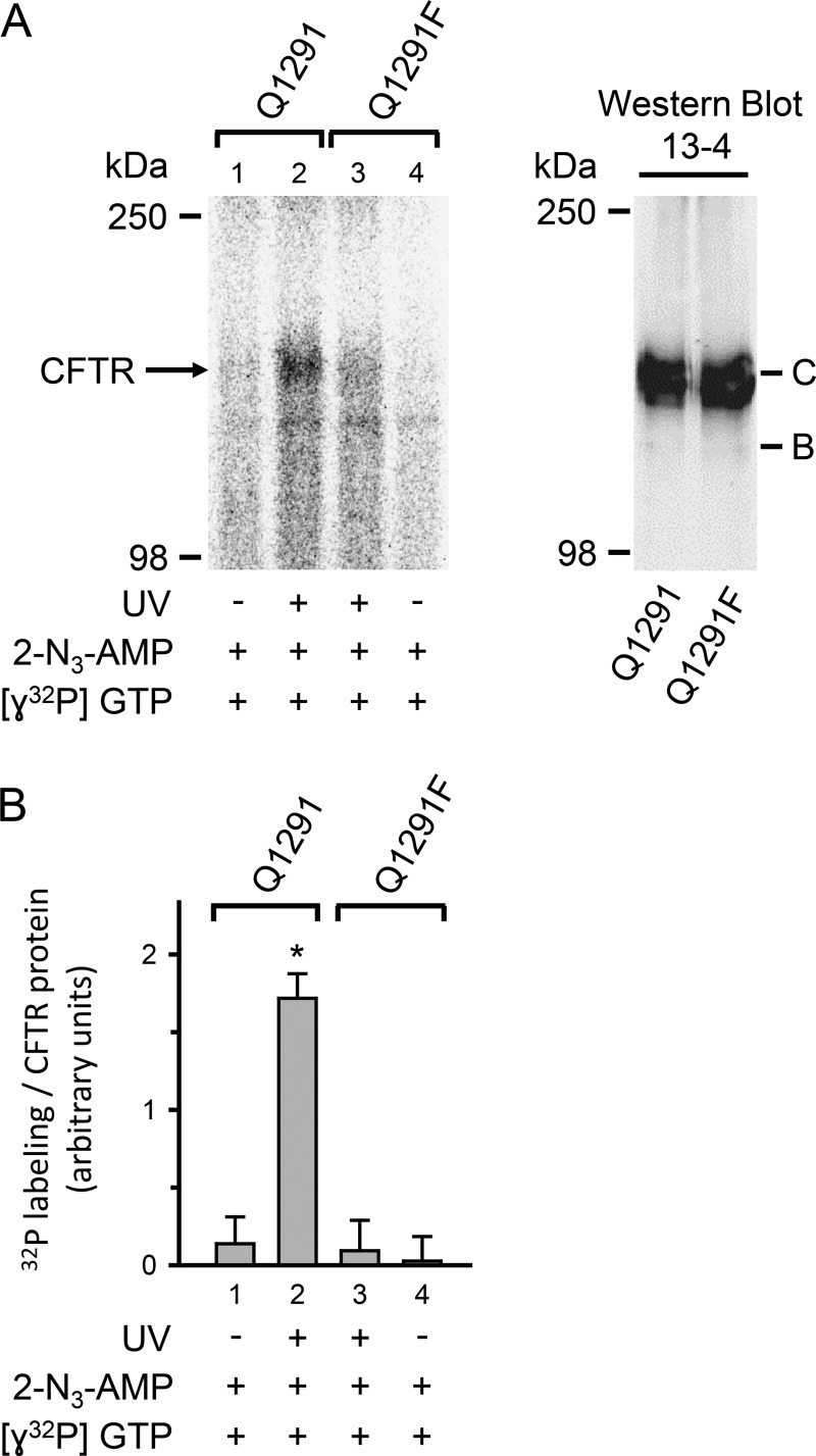 FIGURE 11.