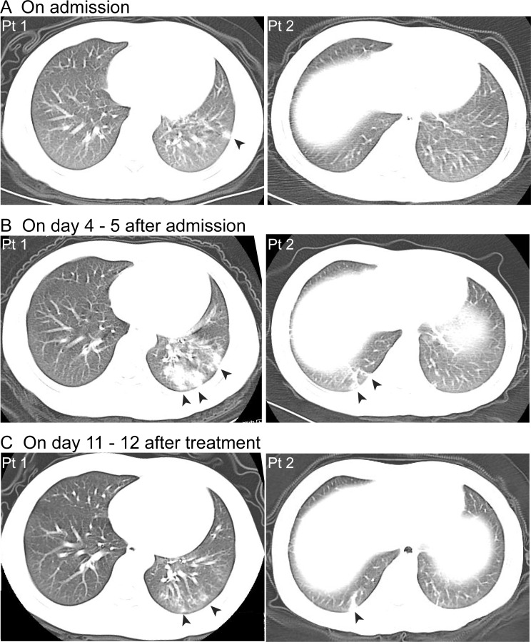 Fig 3