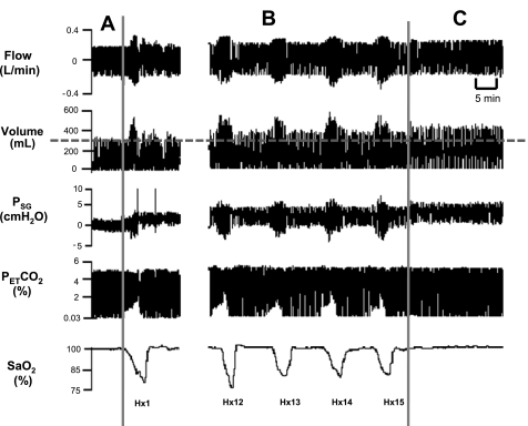 Fig. 2.