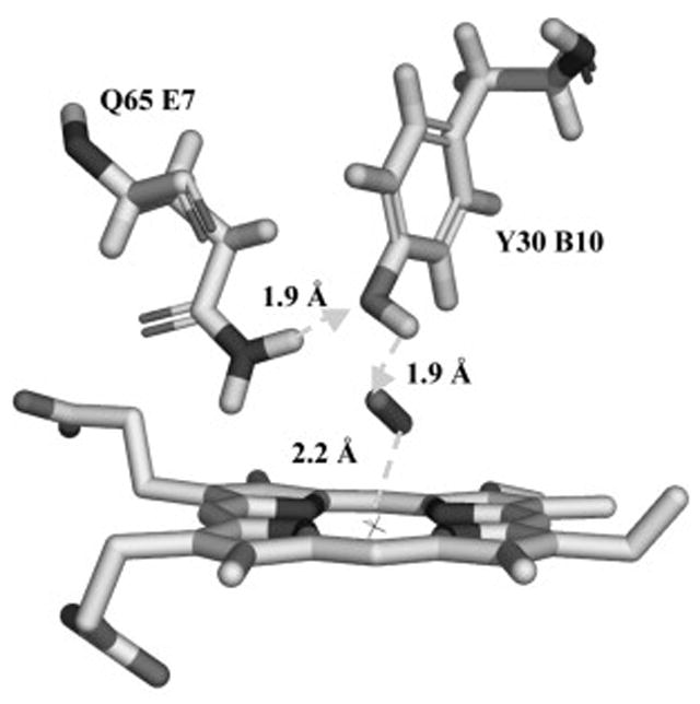 Fig. 5