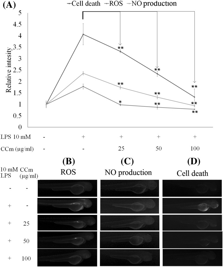 Fig. 4