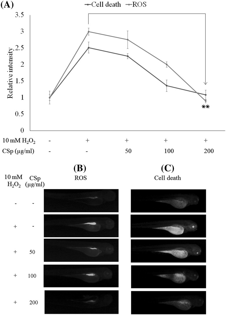 Fig. 3