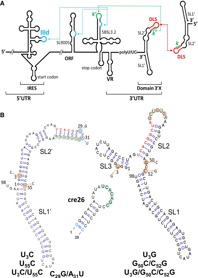 FIGURE 1.