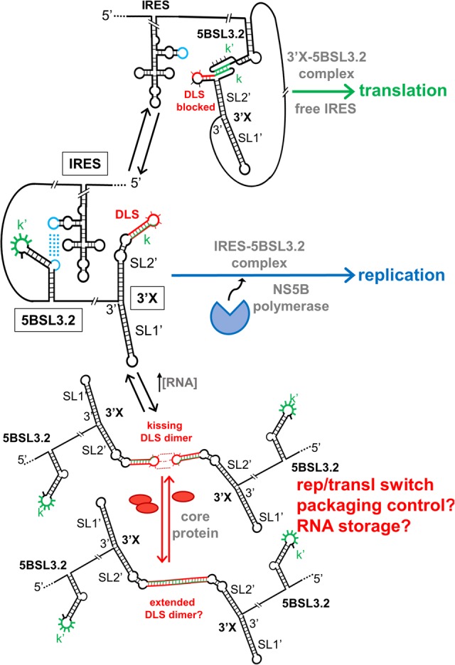 FIGURE 7.