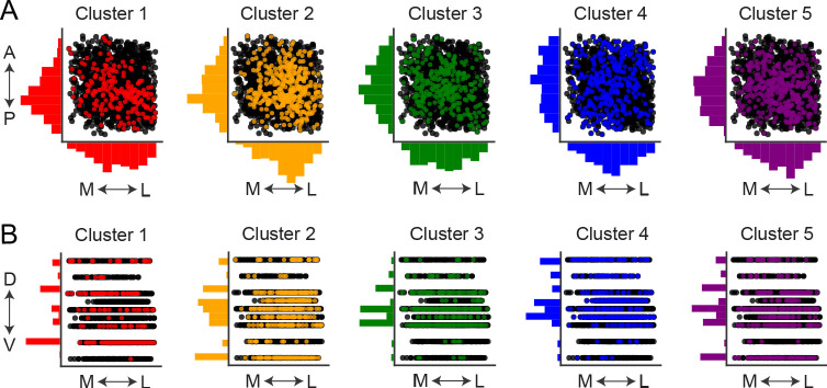 Figure 1—figure supplement 5.