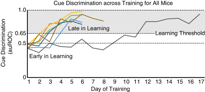 Figure 1—figure supplement 1.