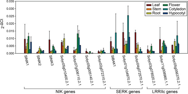 Figure 6