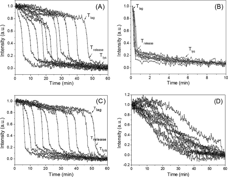 FIG 2