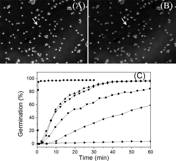 FIG 1