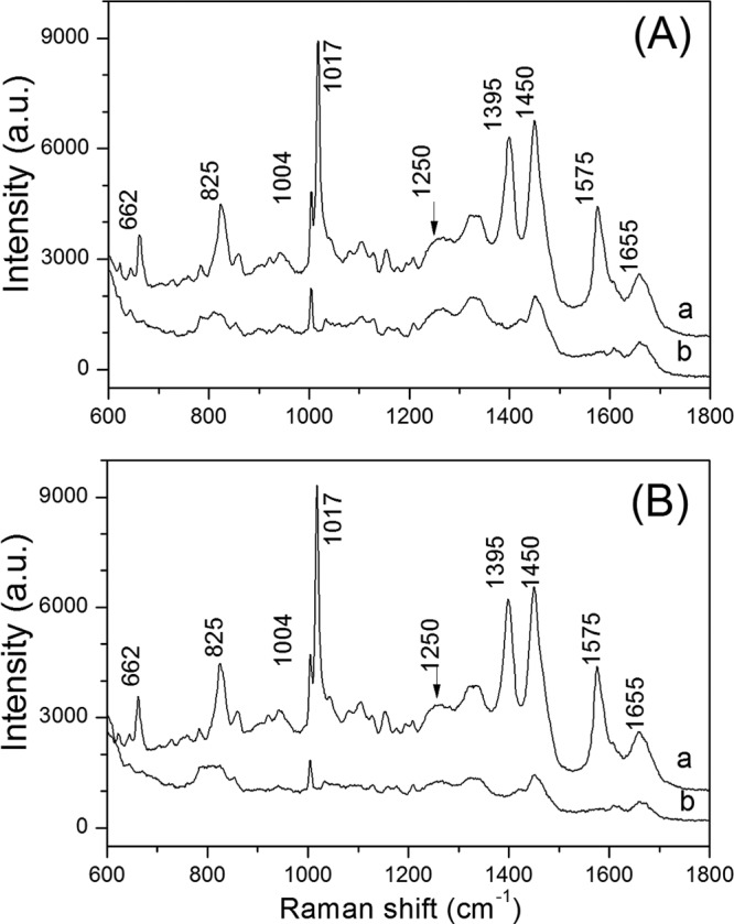 FIG 6