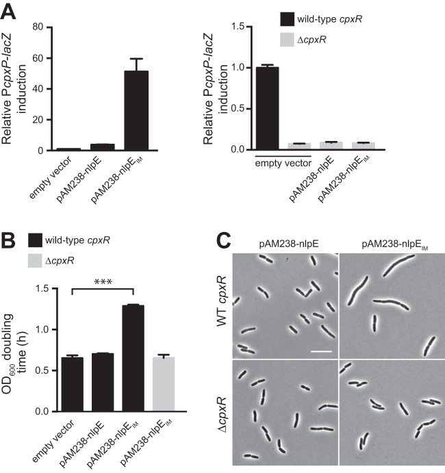 FIG 3 