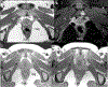Figure 12.