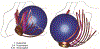 Figure 14.