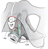 Figure 10.