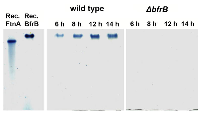 Fig. 3