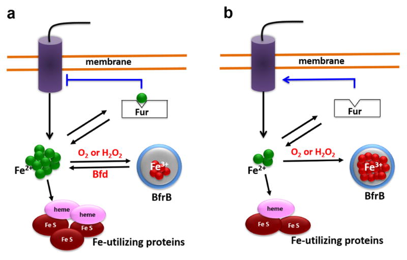 Fig. 6