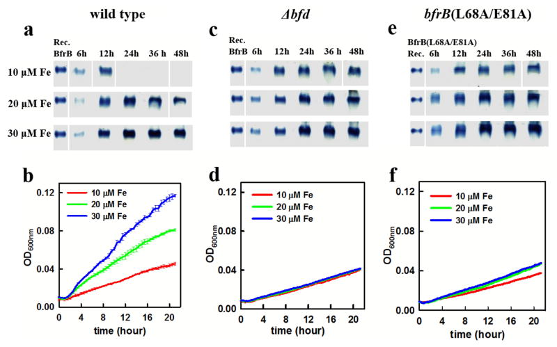 Fig. 7