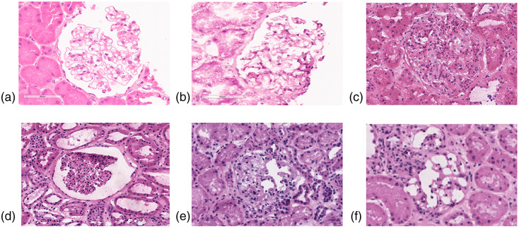 Fig. 9