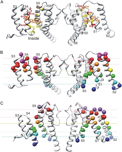 FIGURE 6