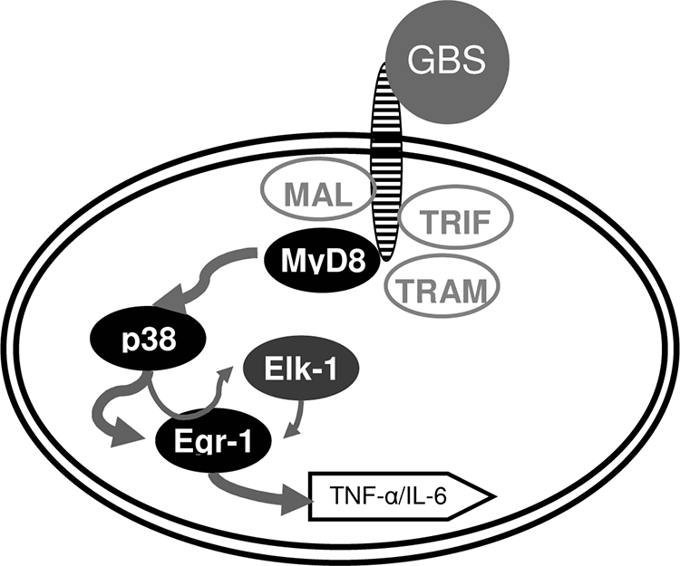 FIG. 7.