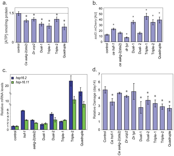 Figure 4