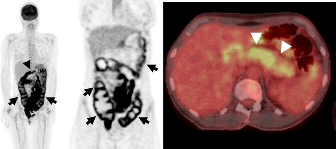 Fig. 6.