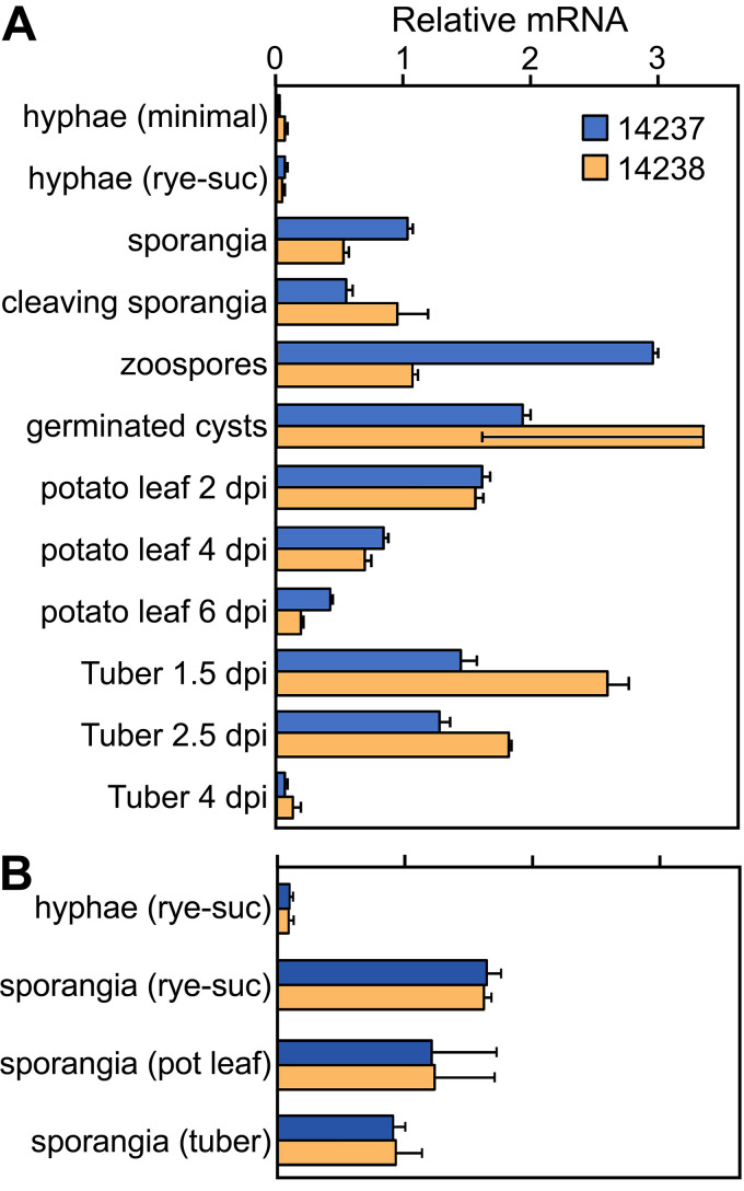 FIG 4