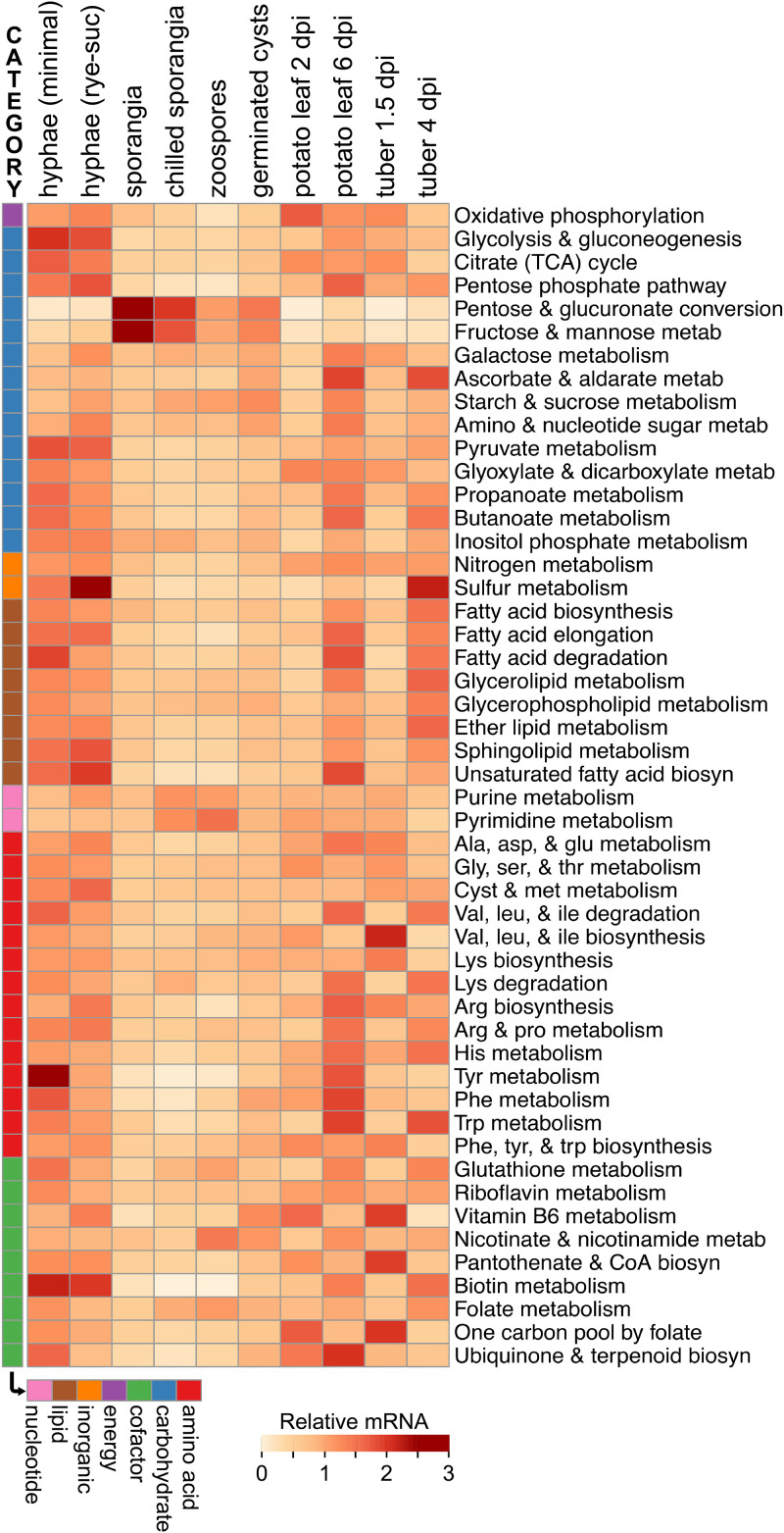 FIG 6