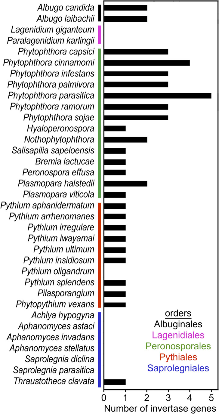 FIG 3