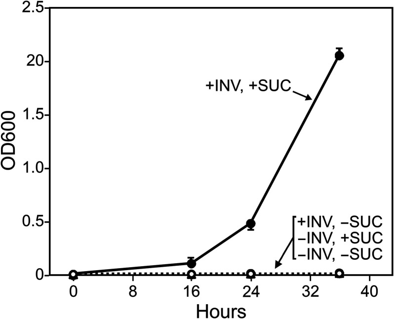 FIG 2