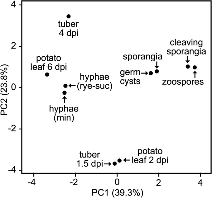 FIG 5