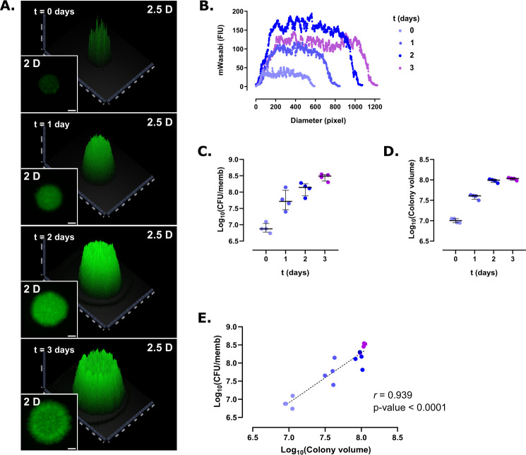 Fig 2