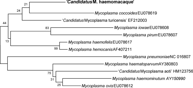 Fig 2