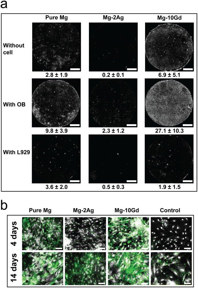 Fig 3