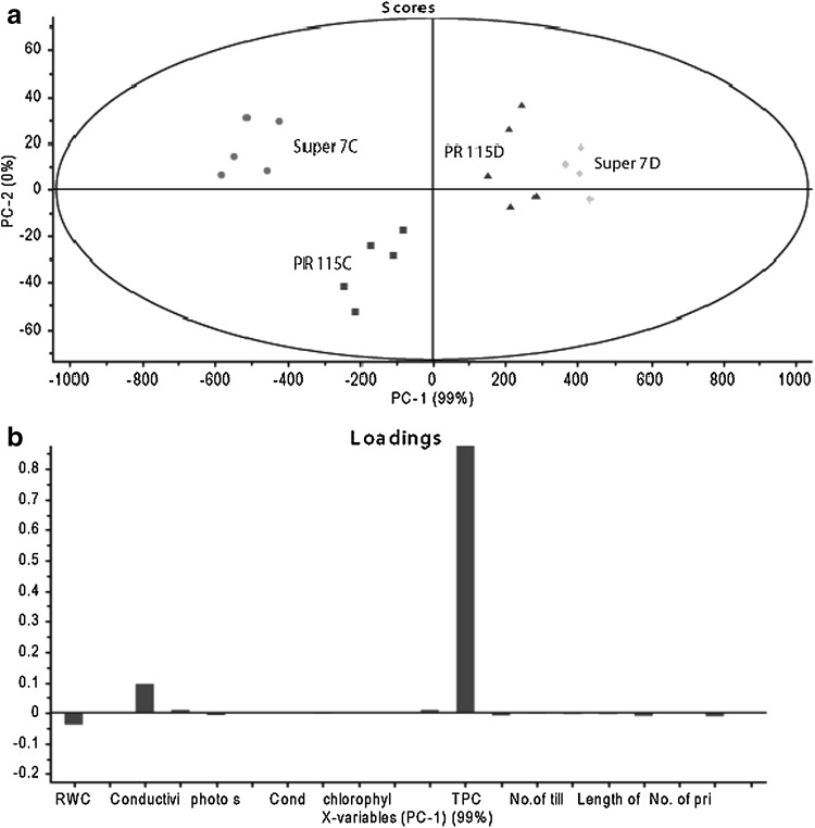 Fig. 8