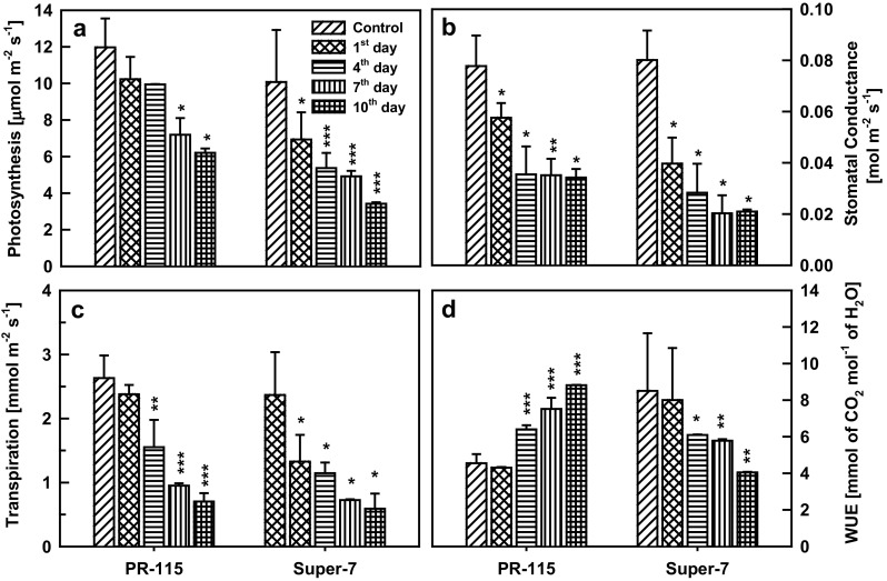 Fig. 2