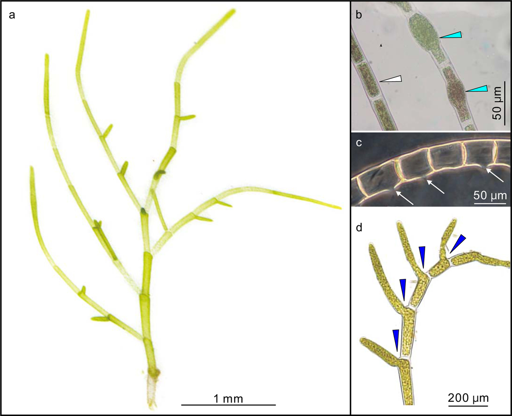 Figure 3 |