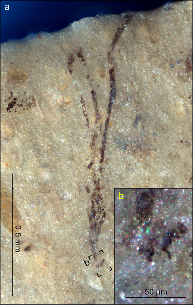 Extended Data Fig. 4