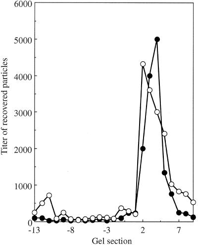 FIG. 5.