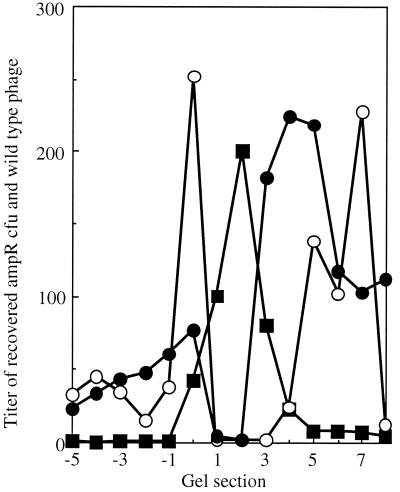 FIG. 7.