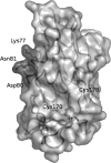 FIG. 5.