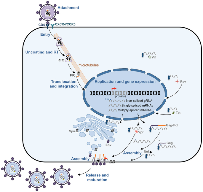 Figure 24.3