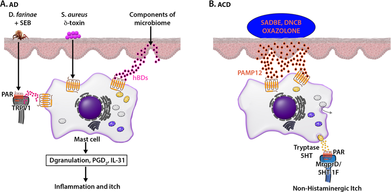 FIG 3.