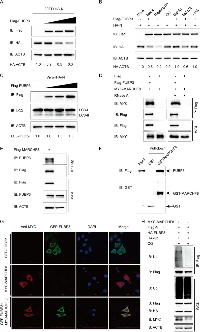 FIG 4