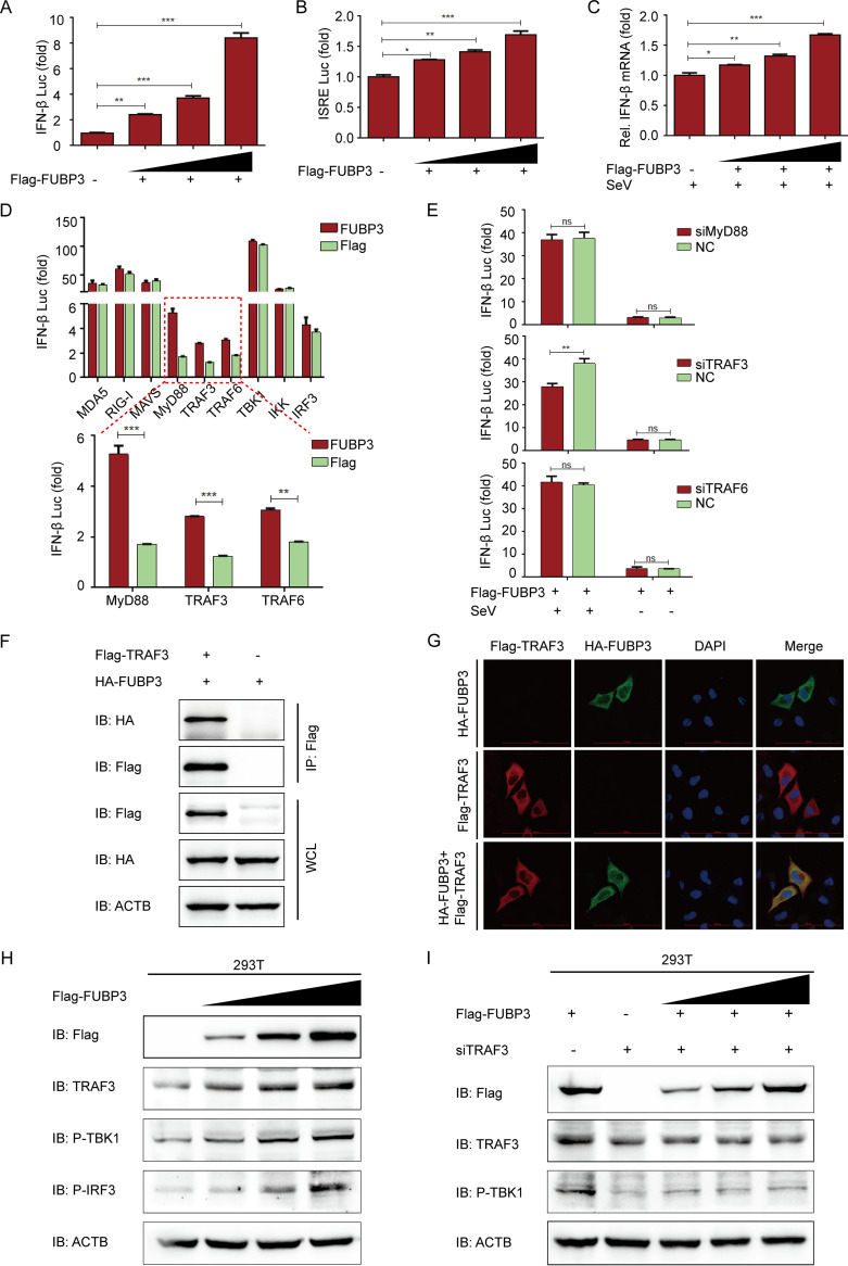 FIG 6