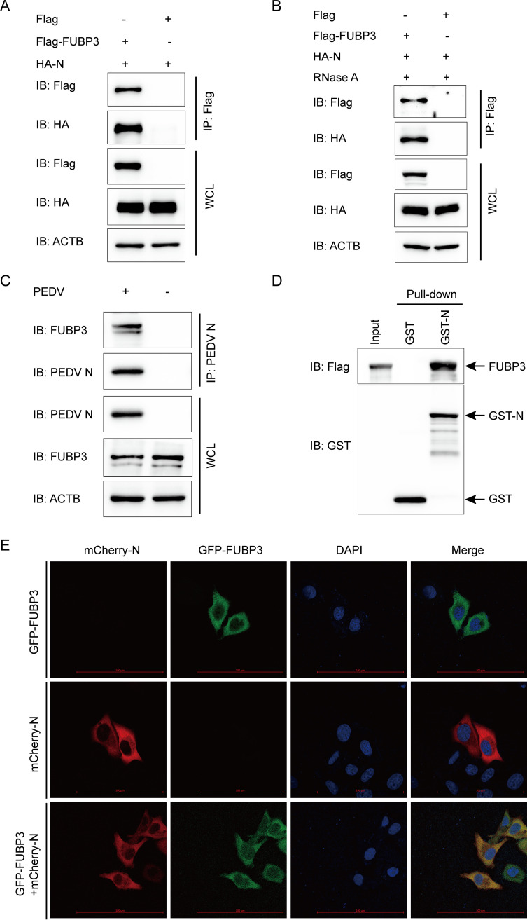 FIG 3