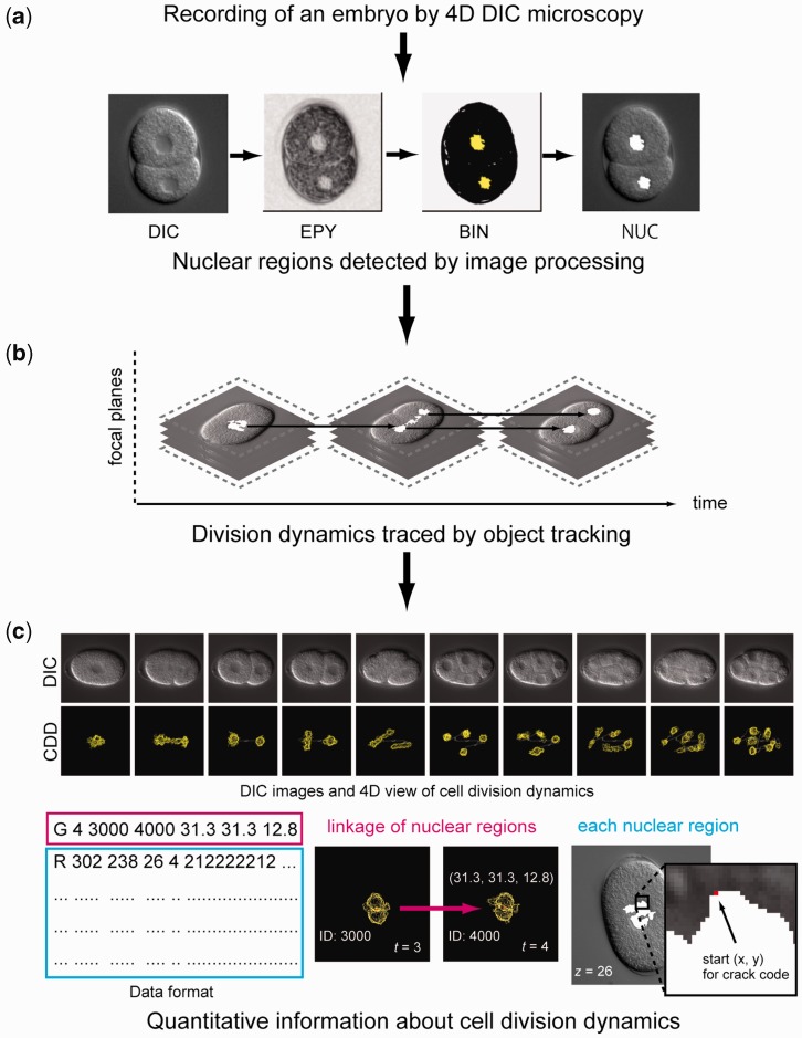 Figure 1.