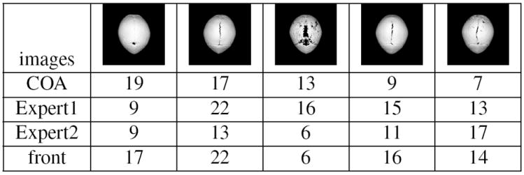 Fig. 8