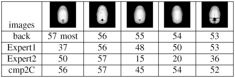 Fig. 11