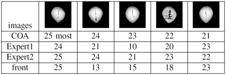 Fig. 6